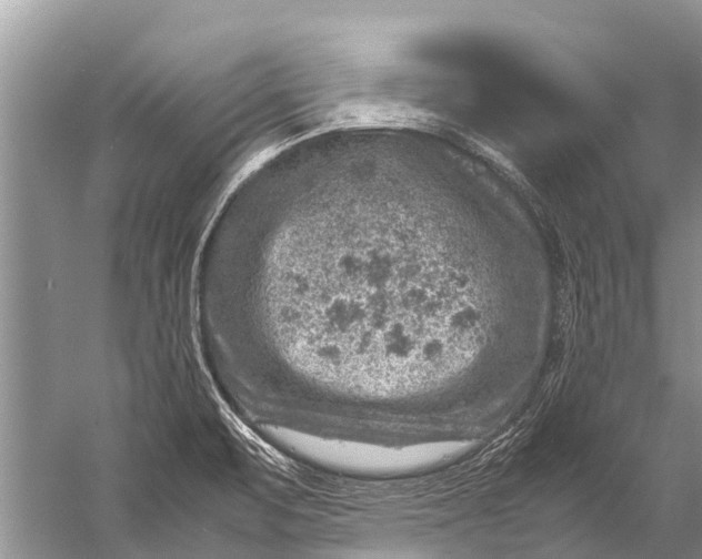 X0000057081471200510010147