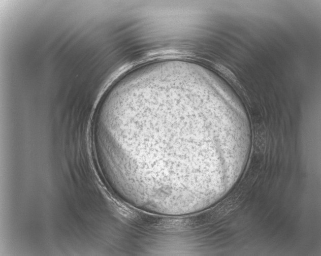 X0000057081474200510010147