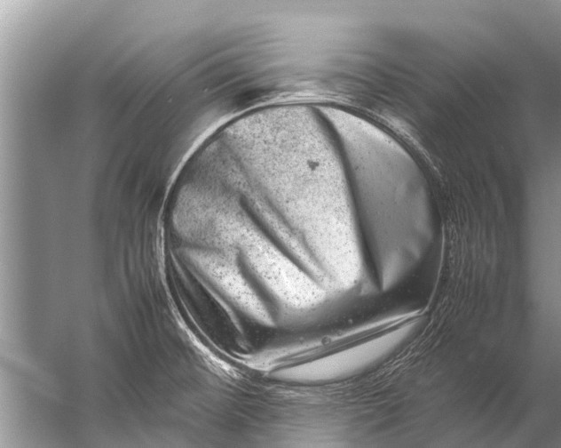 X0000057081476200510010147