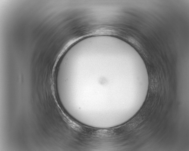 X0000057081478200510010147