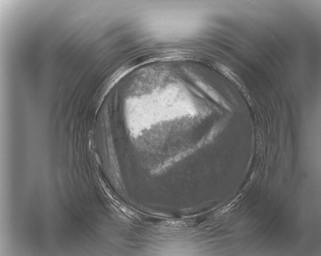 X0000057081481200510010146