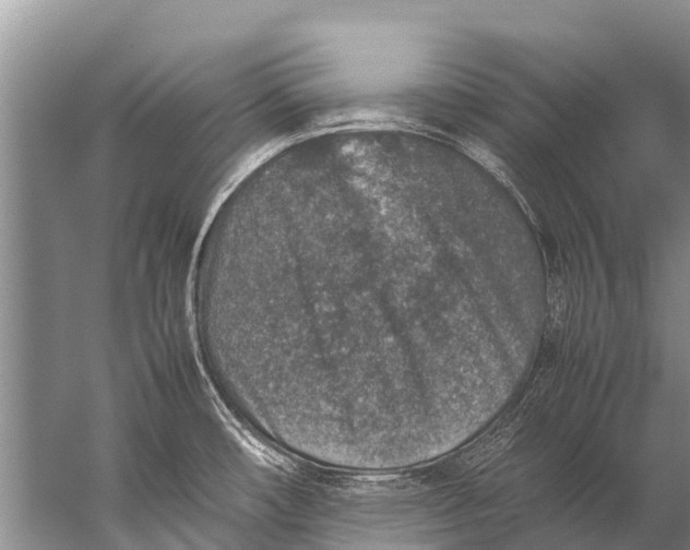 X0000057081482200510010146