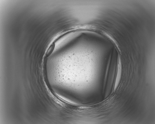 X0000057081483200510010146