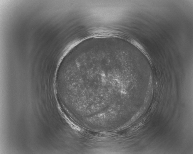 X0000057081485200510010146