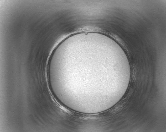 X0000057081486200510010146