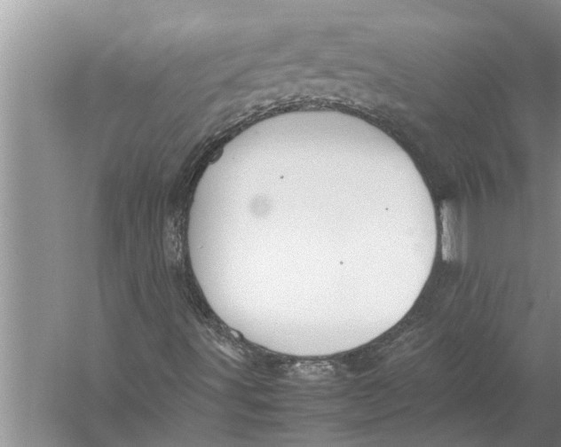 X0000057081491200510010146