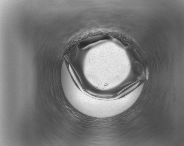 X0000057081492200510010146