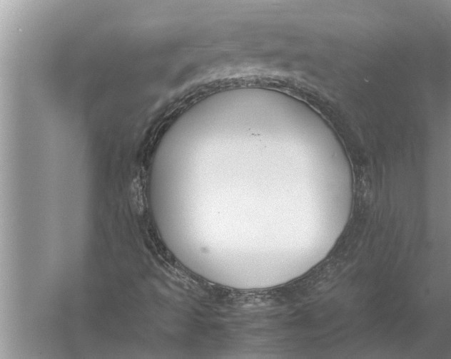 X0000057081493200510010146