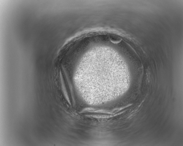 X0000057081494200510010146