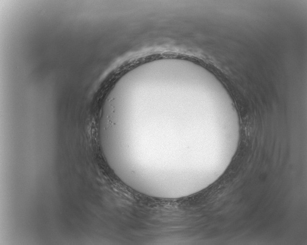 X0000057081495200510010146