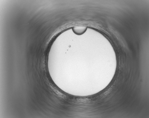 X0000057081498200510010146