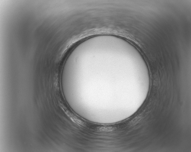 X0000057081499200510010146