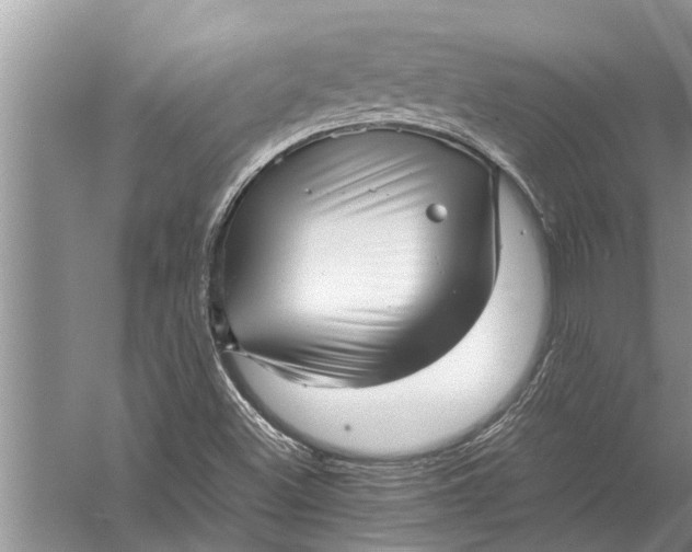 X0000057081500200510010146