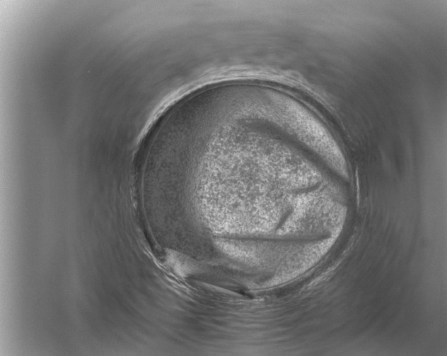 X0000057081501200510010146