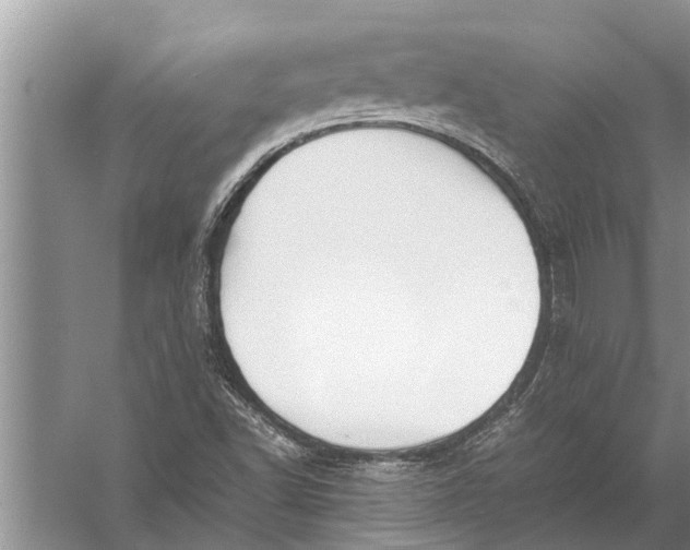 X0000057081502200510010146