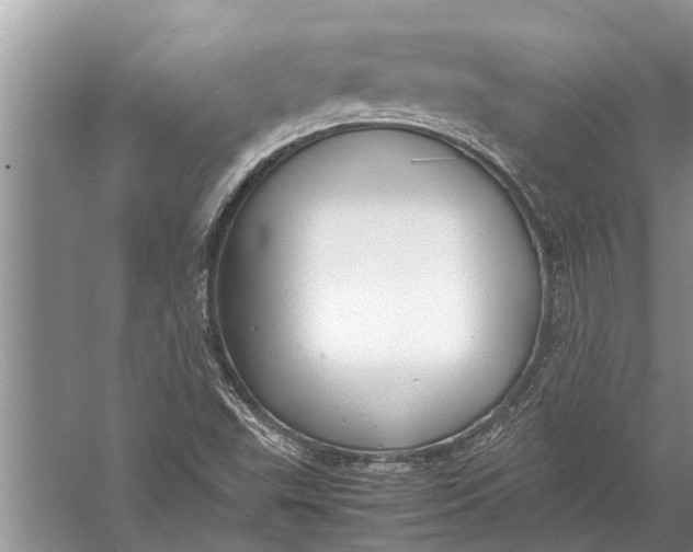 X0000057081503200510010146