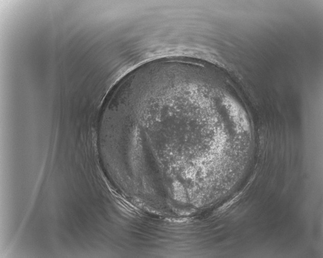 X0000057081505200510010146