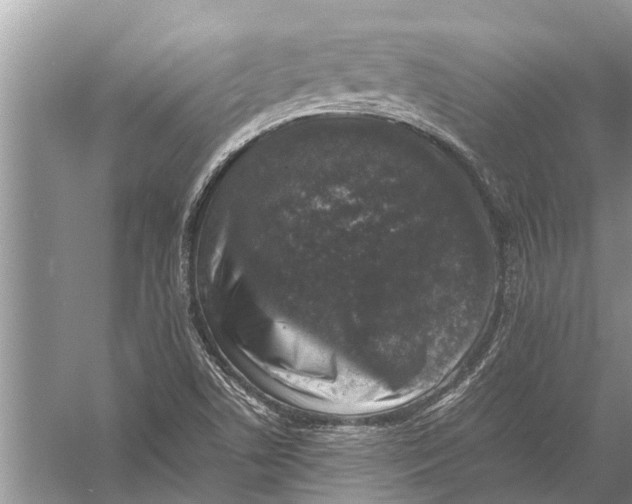 X0000057081506200510010146