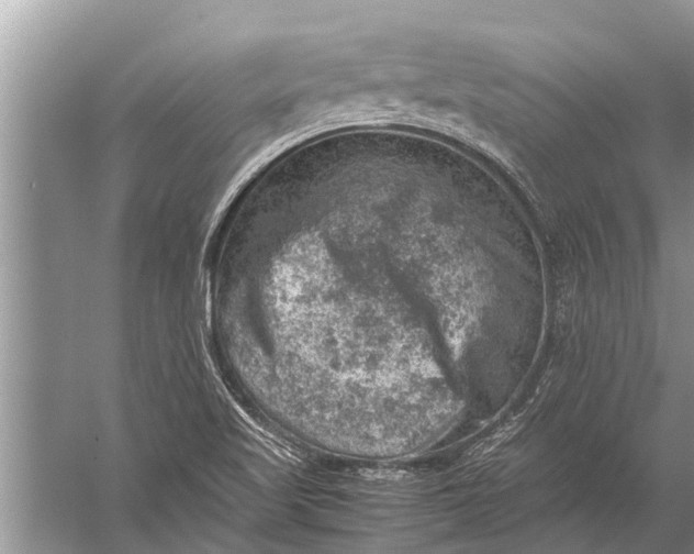 X0000057081509200510010146