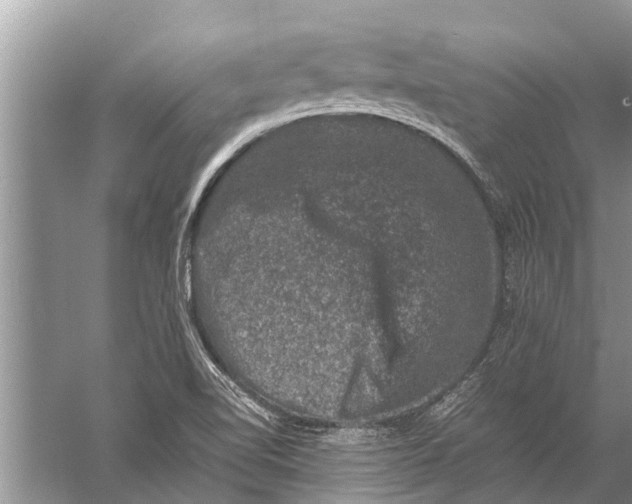 X0000057081510200510010146