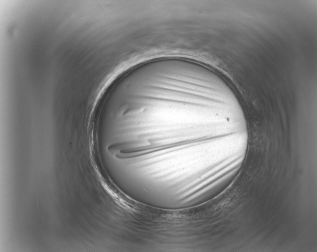 X0000057081511200510010146