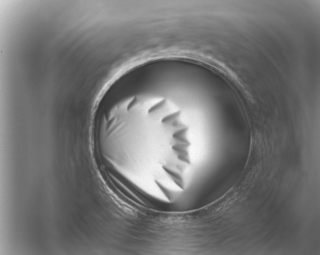 X0000057081512200510010146