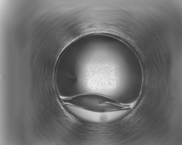 X0000057081513200510010146