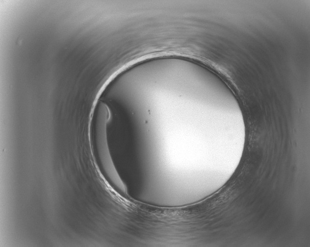 X0000057081516200510010146