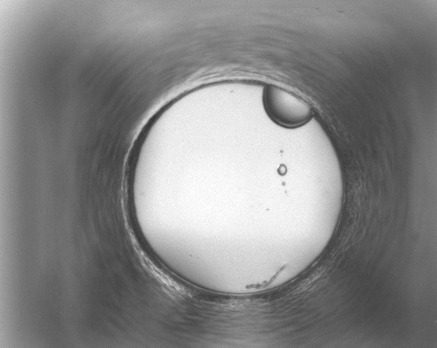 X0000057081518200510010146