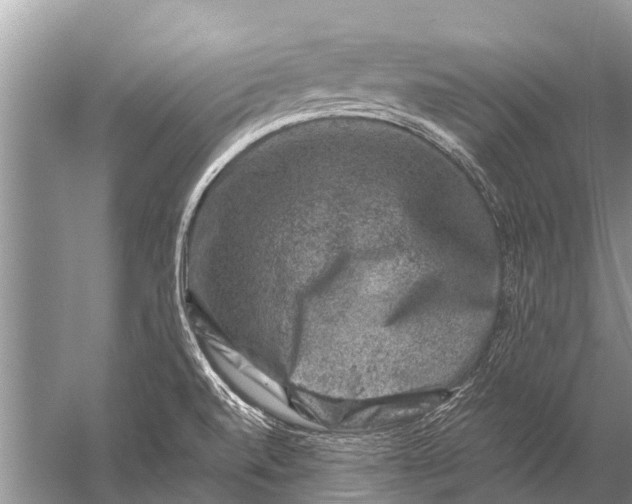 X0000057081520200510010146