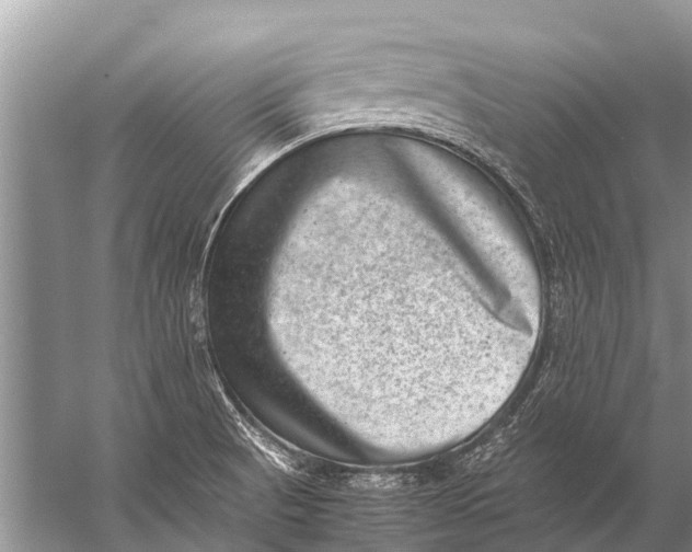 X0000057081521200510010146