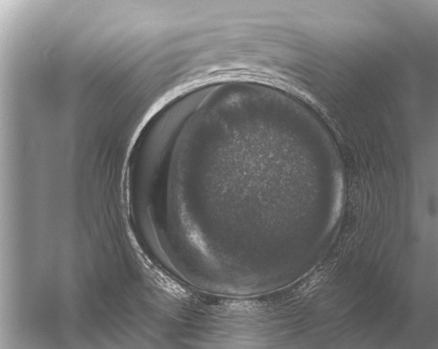 X0000057081522200510010146