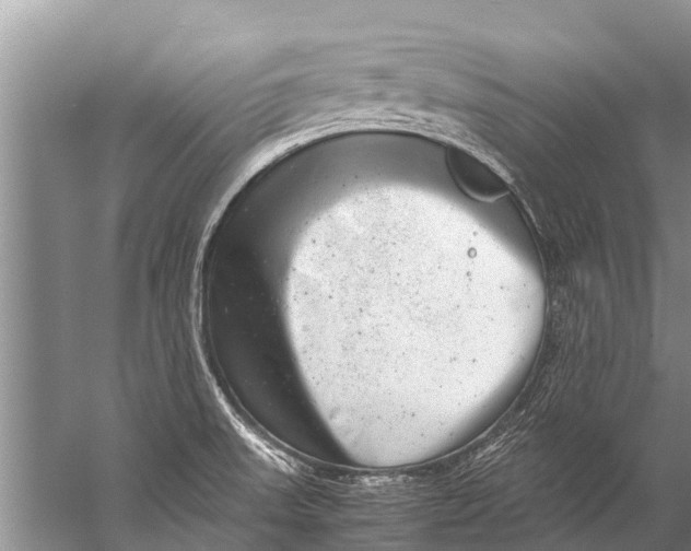 X0000057081523200510010146