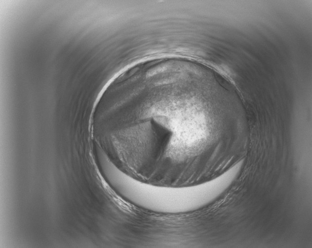 X0000057081524200510010146