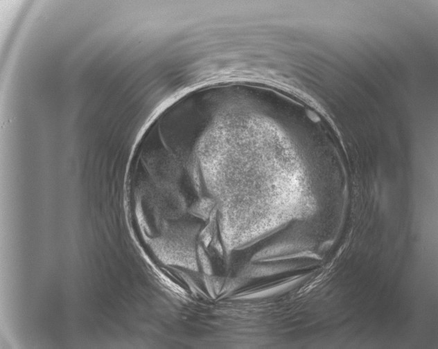 X0000057081525200510010146