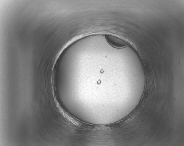 X0000057081526200510010146