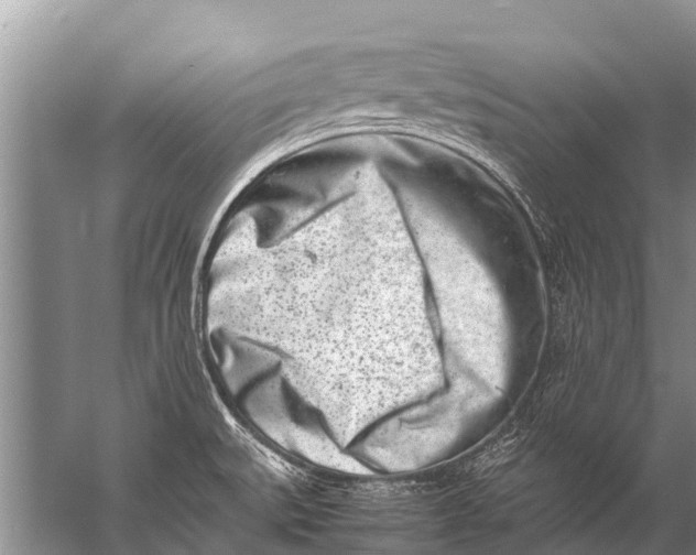 X0000057081527200510010146