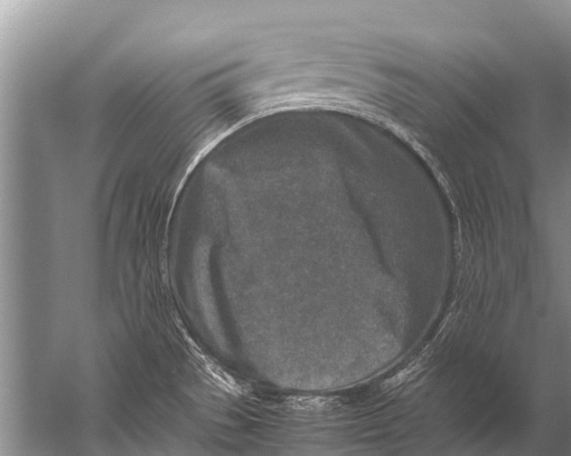 X0000057081529200510010146