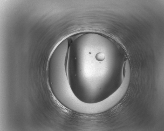 X0000057081532200510010146