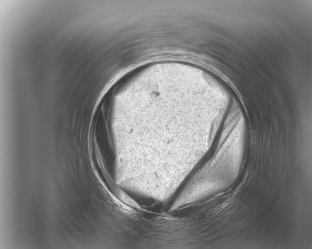 X0000057081533200510010146