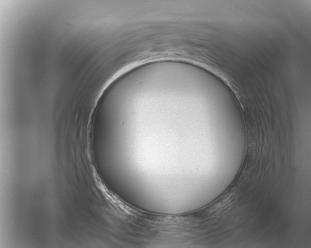 X0000057081534200510010146