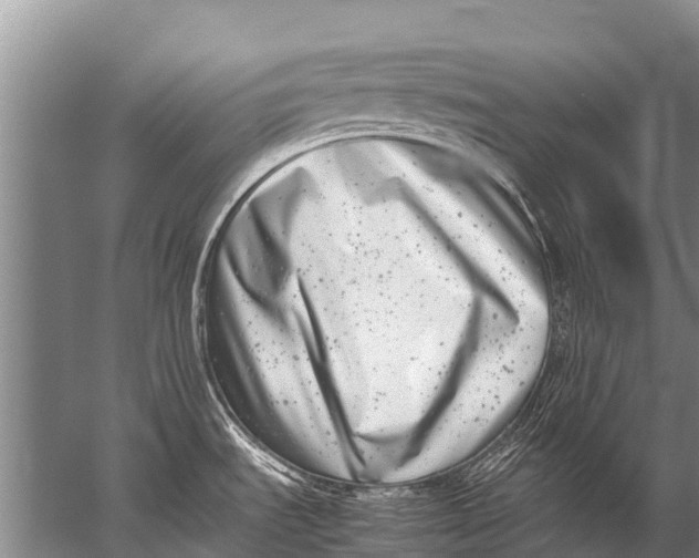 X0000057081535200510010146