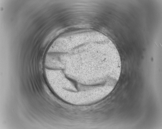 X0000057080002200510071857