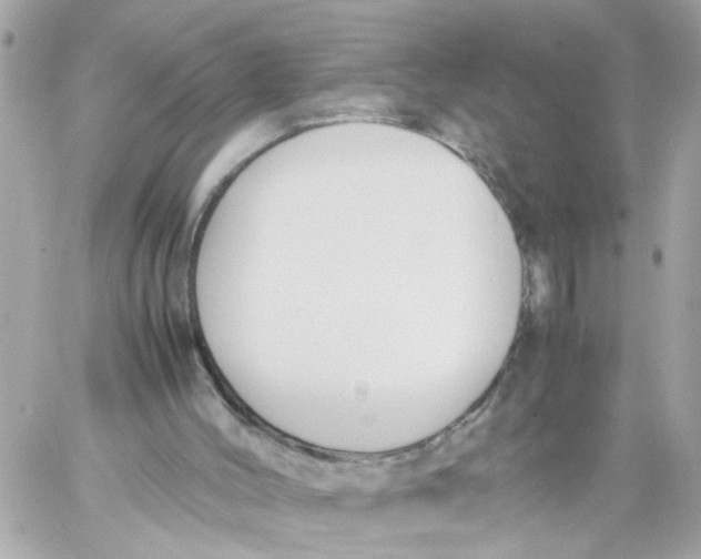 X0000057080004200510071857