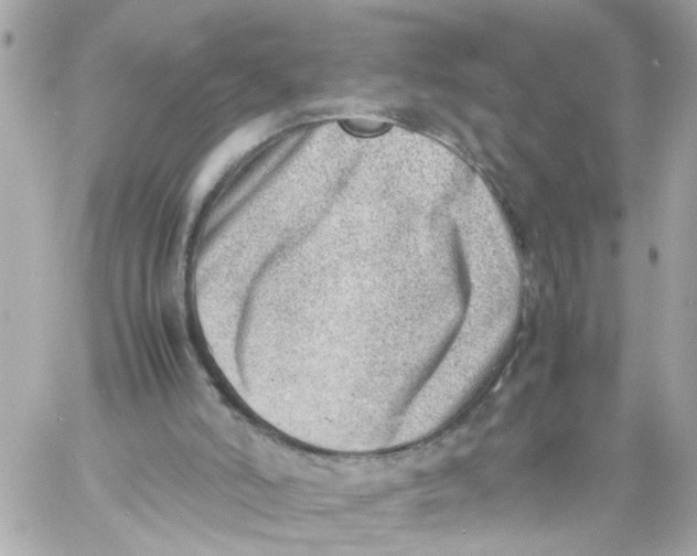 X0000057080006200510071857