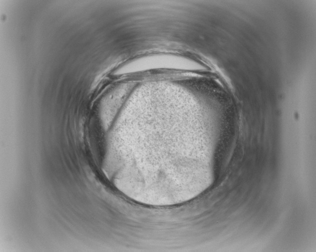 X0000057080010200510071857