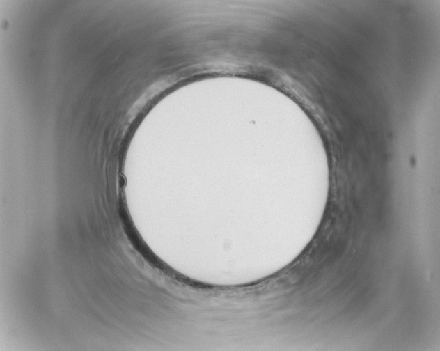 X0000057080011200510071857