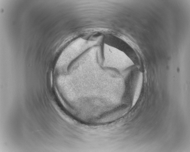 X0000057080013200510071857