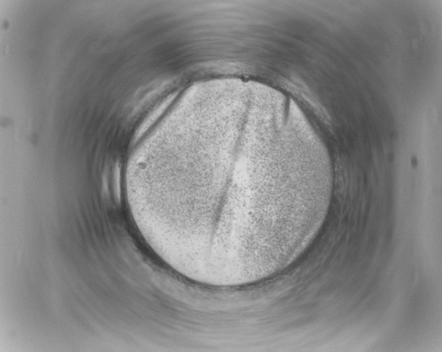 X0000057080014200510071857