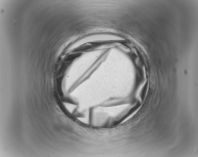 X0000057080015200510071857